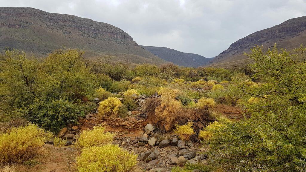 Langkloof Tankwa Karoo