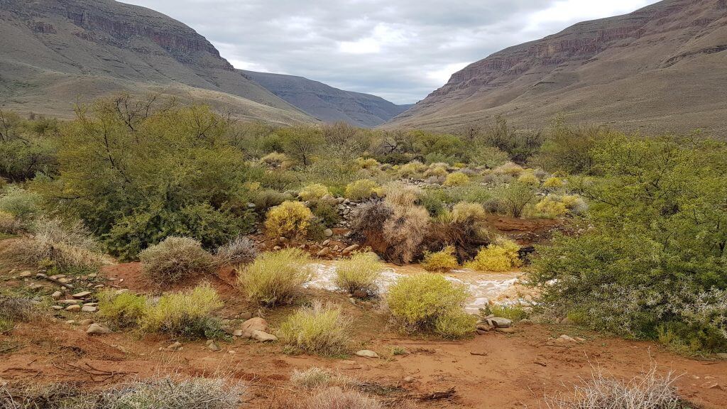 Langkloof Tankwa Karoo