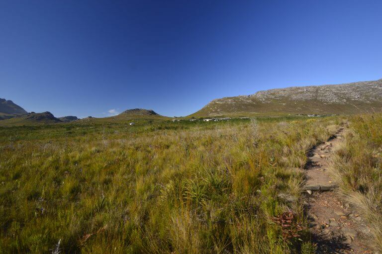 Kogelberg Nature Reserve