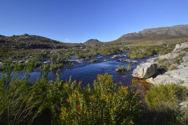 Kogelberg Nature Reserve