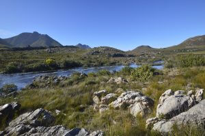 Kogelberg Nature Reserve