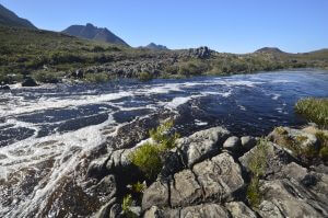 Kogelberg Nature Reserve