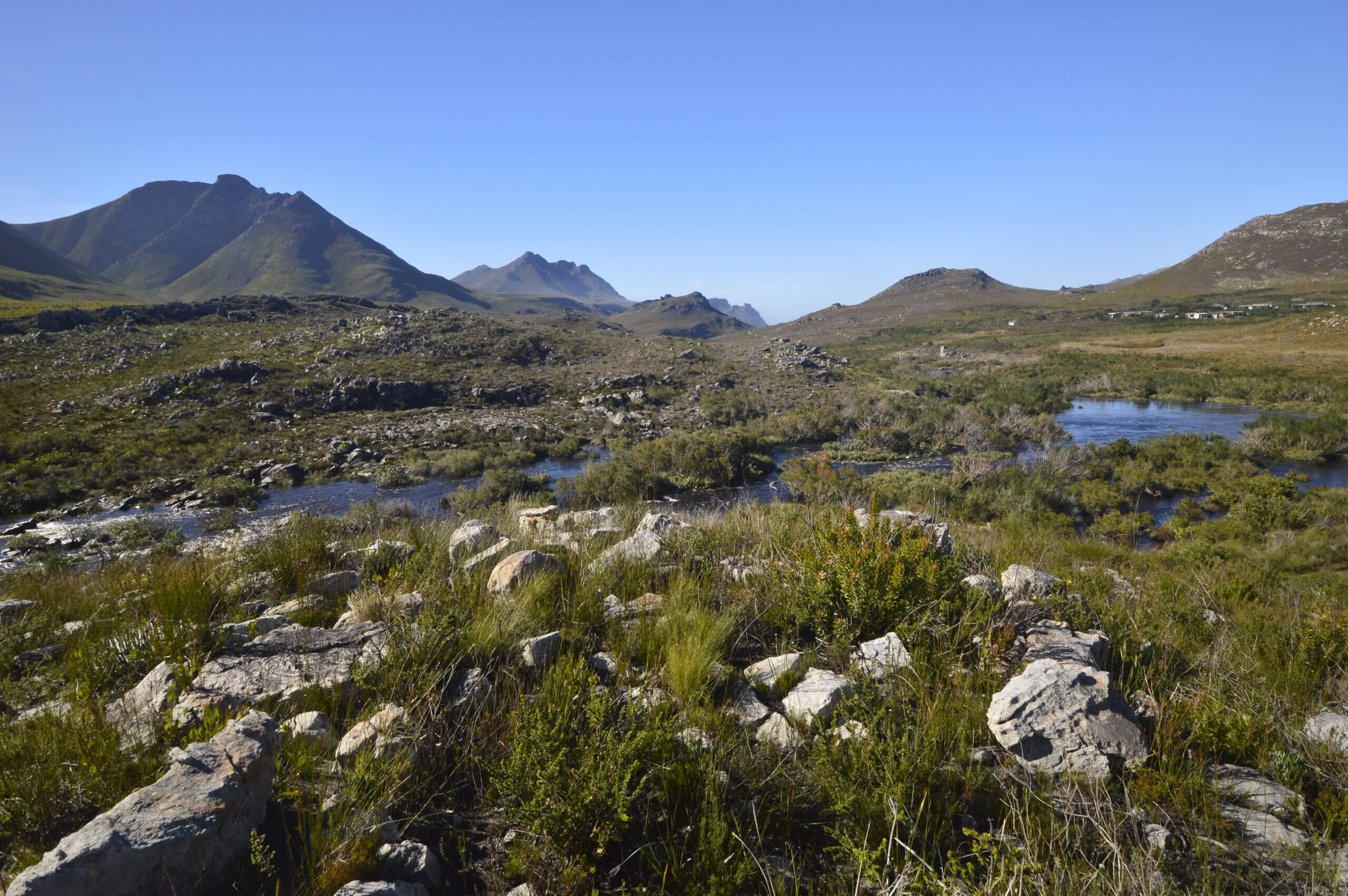 Kogelberg Nature Reserve
